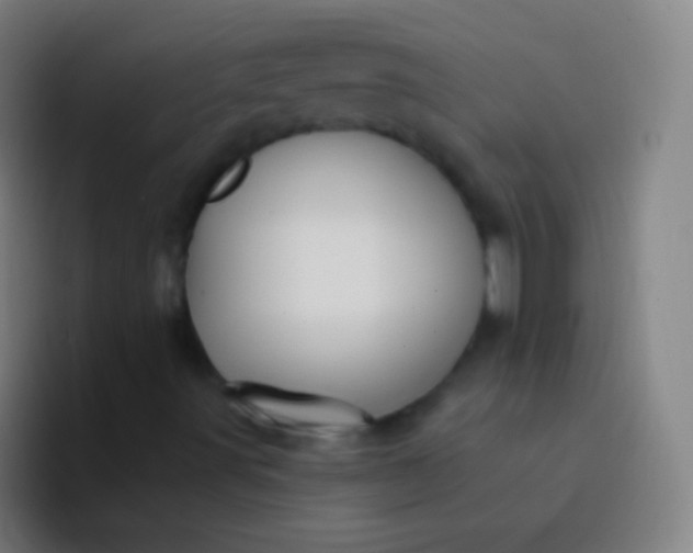 X0000094351491200711162019