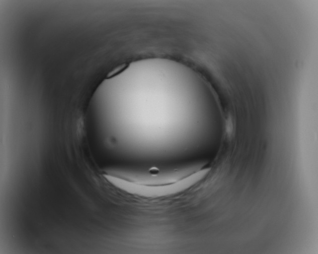 X0000094351492200711162019