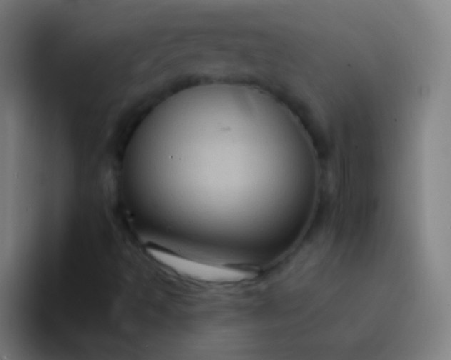 X0000094351493200711162019