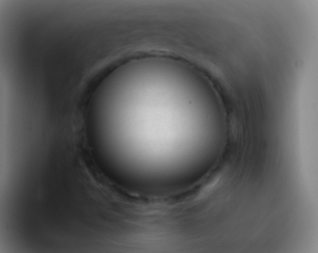 X0000094351494200711162019