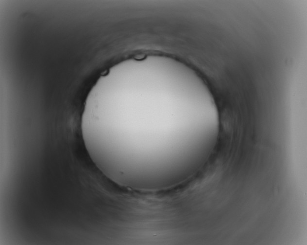 X0000094351495200711162019