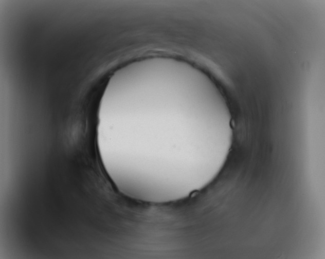 X0000094351496200711162019