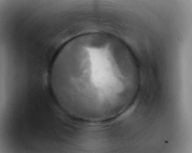 X0000094351497200711162019