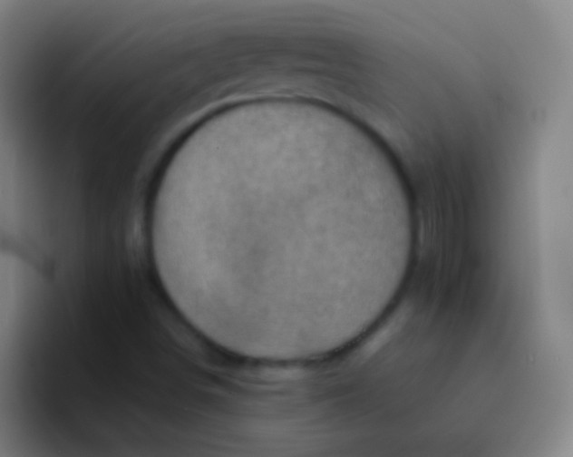 X0000094351498200711162019