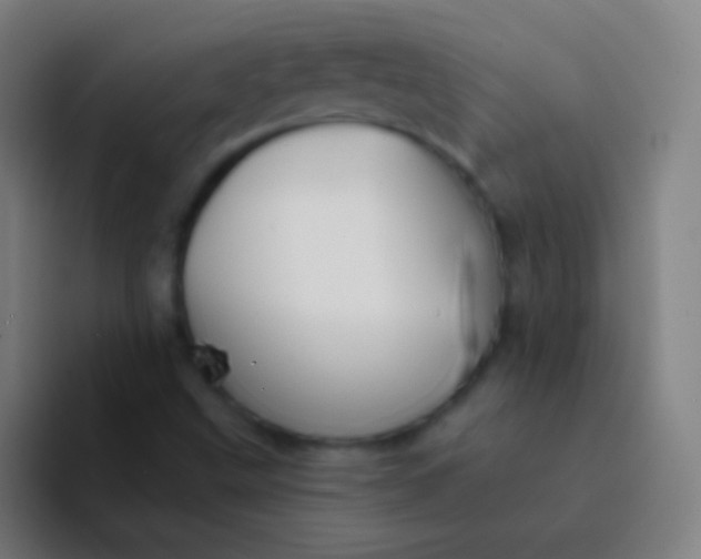 X0000094351499200711162019