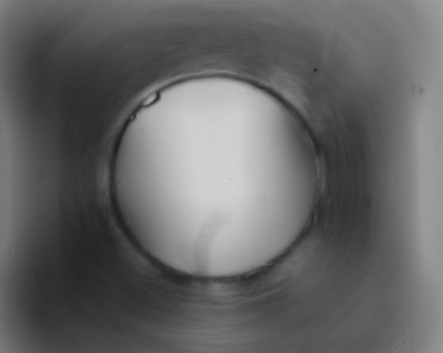 X0000094351500200711162019