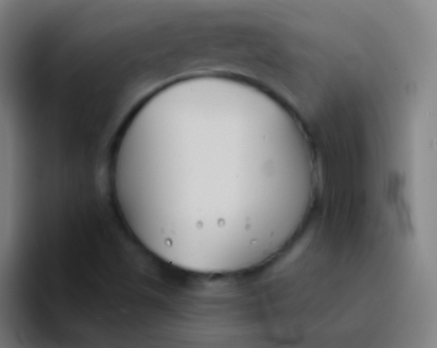 X0000094351501200711162019