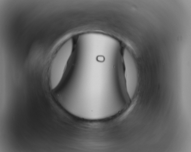 X0000094351502200711162019