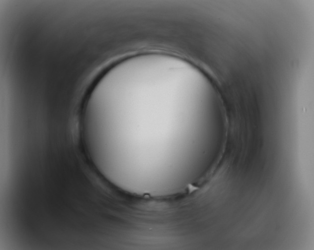 X0000094351503200711162019