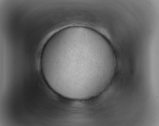 X0000094351504200711162019