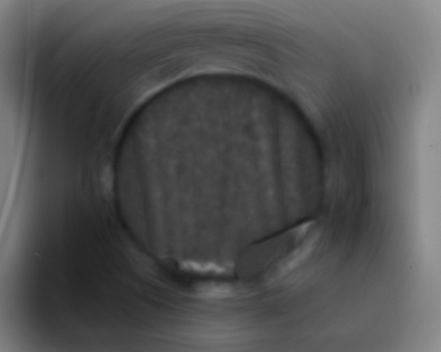 X0000094351505200711162019