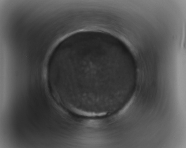 X0000094351506200711162019