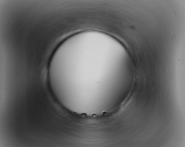 X0000094351507200711162019