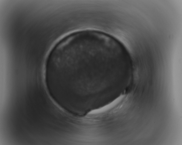 X0000094351508200711162019