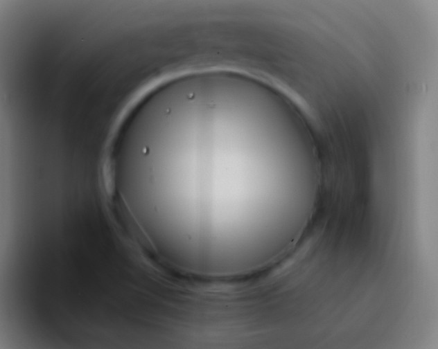 X0000094351510200711162019