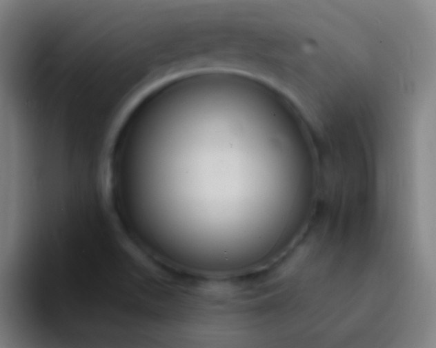 X0000094351511200711162019