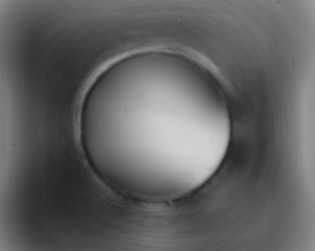 X0000094351512200711162019