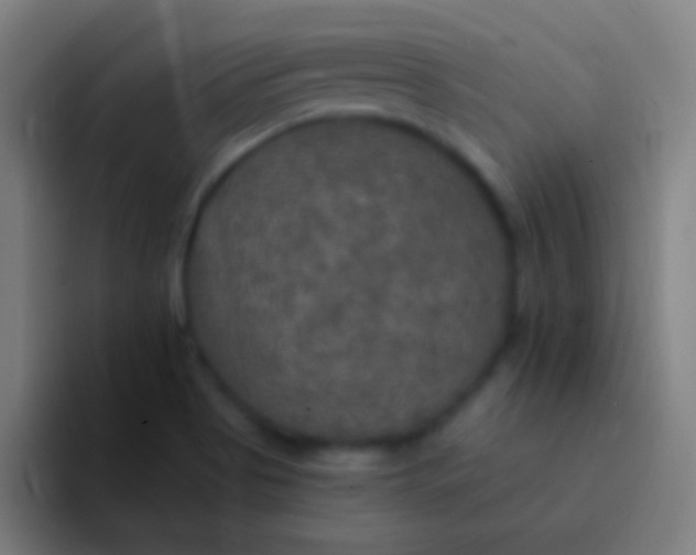 X0000094351513200711162019