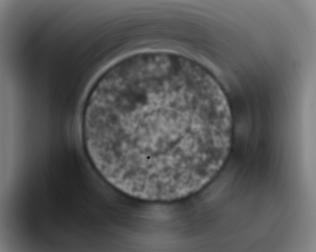 X0000094351514200711162019