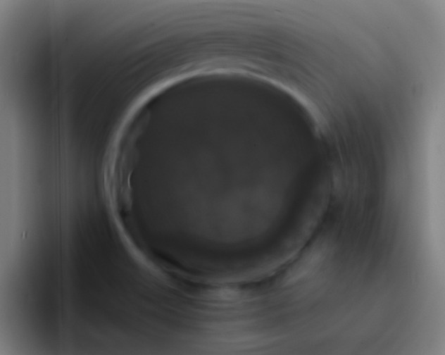 X0000094351515200711162019