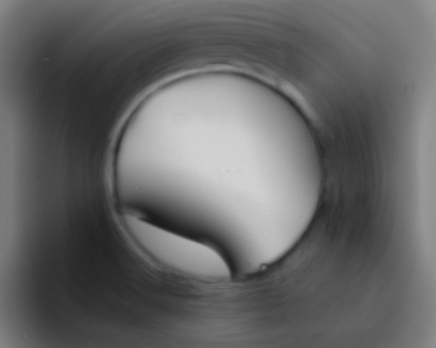 X0000094351516200711162019