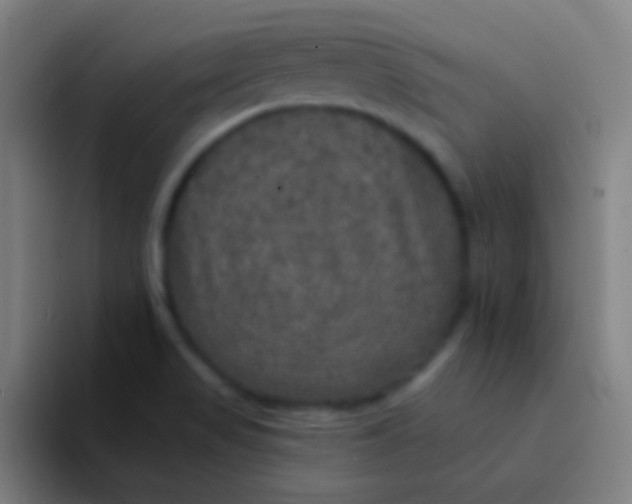 X0000094351517200711162019