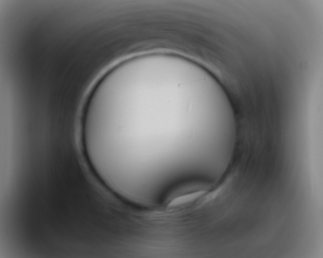 X0000094351518200711162019