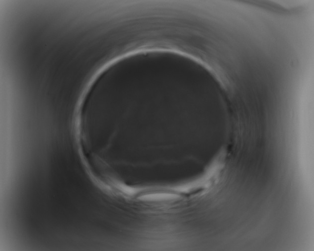 X0000094351519200711162019