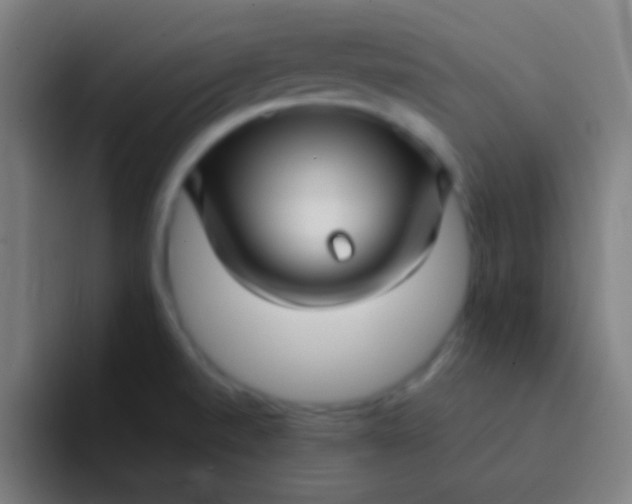 X0000094351520200711162019