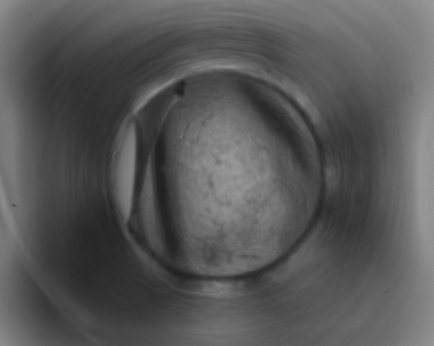 X0000094351521200711162019