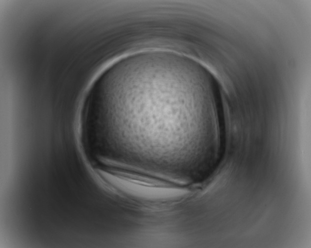 X0000094351523200711162020