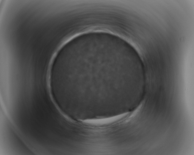 X0000094351525200711162020