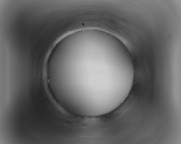 X0000094351526200711162020