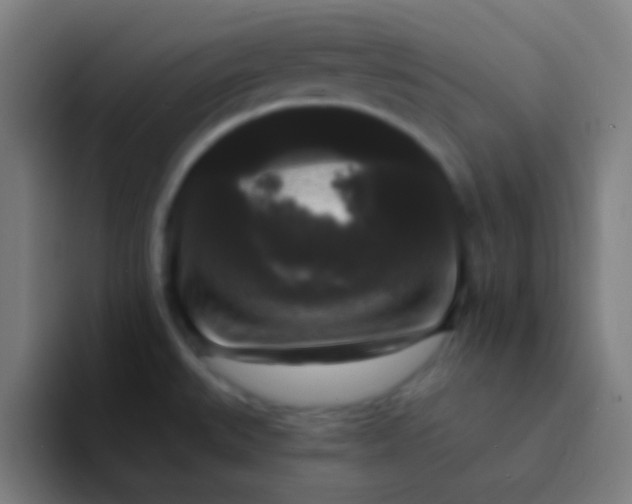 X0000094351527200711162020