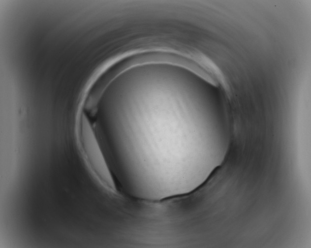 X0000094351528200711162020