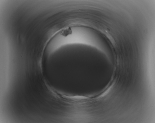 X0000094351529200711162020