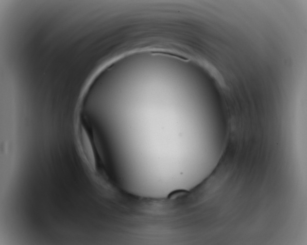 X0000094351530200711162020