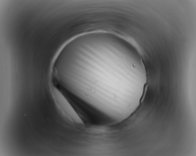 X0000094351532200711162020