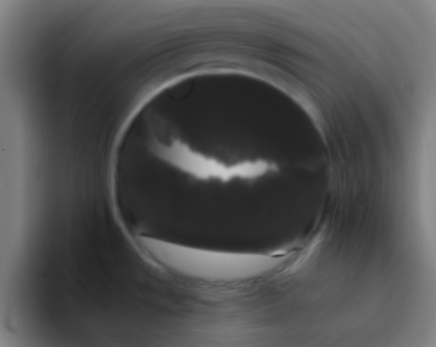 X0000094351533200711162020