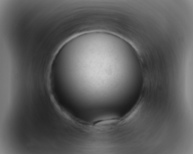 X0000094351534200711162020