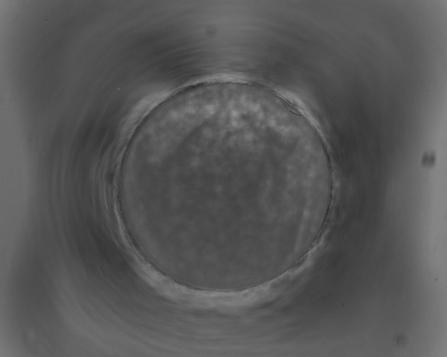 X0000094350001200711241925