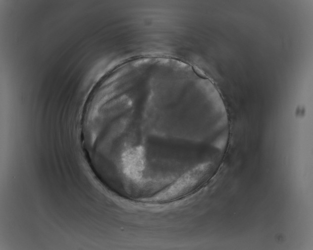 X0000094350002200711241925