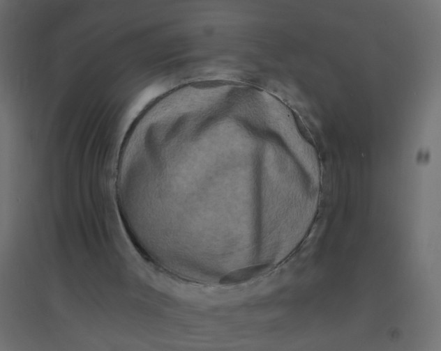 X0000094350003200711241925