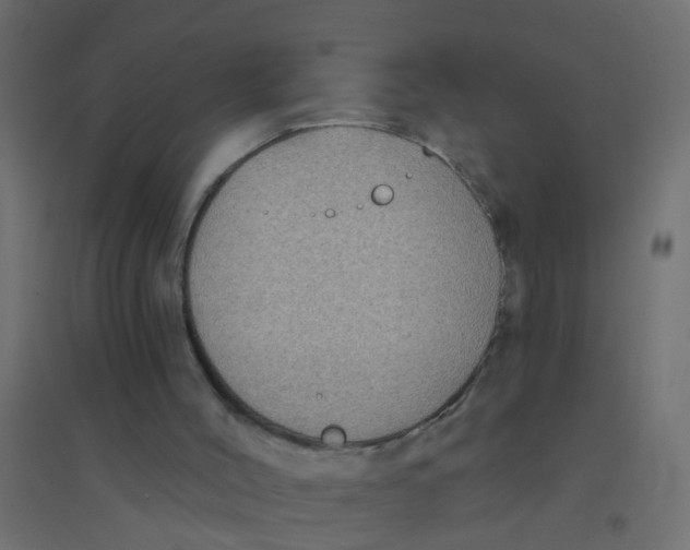 X0000094350004200711241925