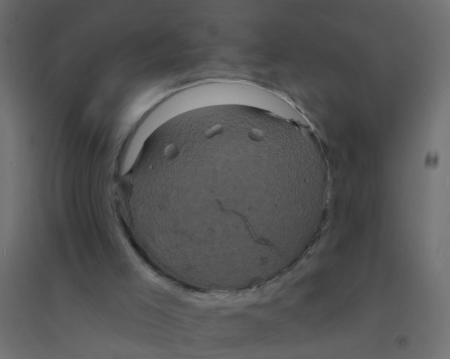 X0000094350005200711241925