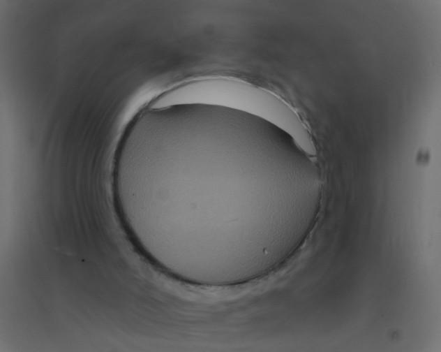 X0000094350006200711241925