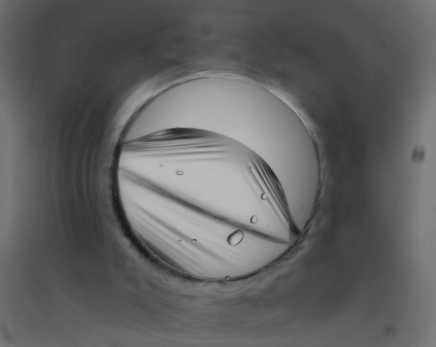 X0000094350007200711241925
