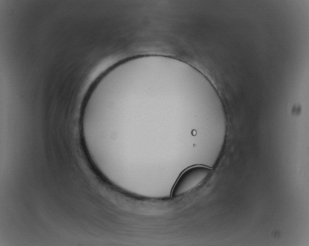 X0000094350008200711241925