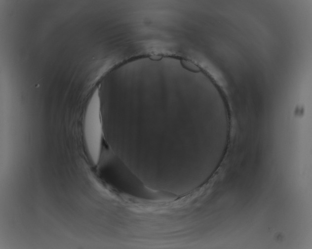 X0000094350009200711241925
