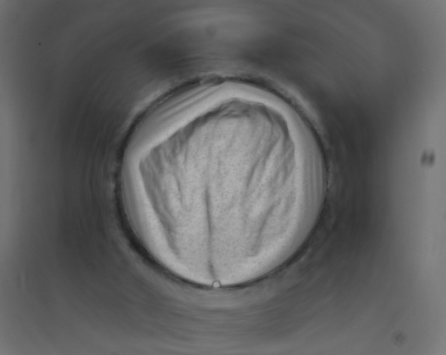 X0000094350010200711241925